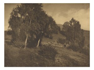Landschaft, Tirol von Alfred Stieglitz