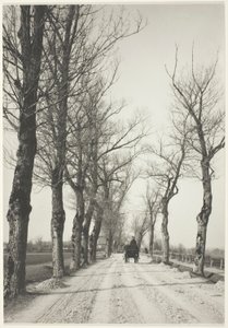 Novembertage