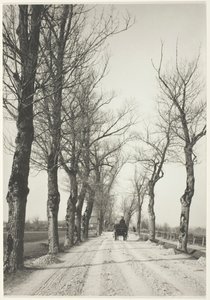 Novembertage, 1887, gedruckt 1920-39