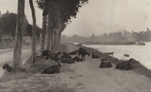 An der Seine—In der Nähe von Paris von Alfred Stieglitz