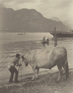 Das unfreiwillige Bad von Alfred Stieglitz
