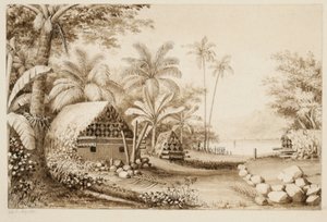Gräber auf der Insel Muthuata, Fidschi von Alfred Thomas Agate