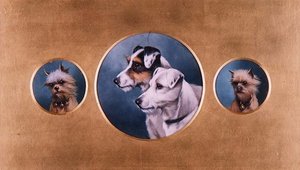 Foxterrier und Yorkshire Terrier von Alfred Wheeler