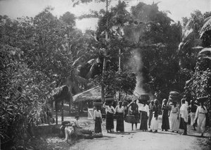 Ein Dschungeldorf, um 1890, 1910