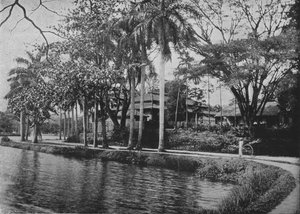 Kandy - Eine malerische Ecke des Sees, um 1890, 1910