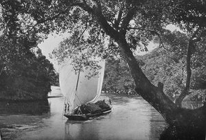 Padda-Boot in voller Fahrt, ca. 1890 von Alfred William Amandus Plate