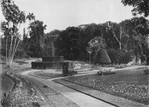 Das Farnhaus, Peradeniya-Gärten, Ceylon, um 1890-1910
