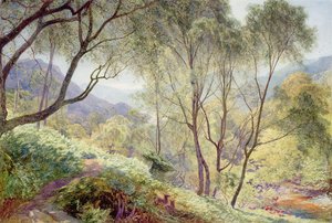 Ullswater vom Gowbarrow Park, 1864
