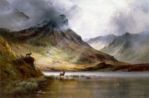 Die Herden von Aberdeen