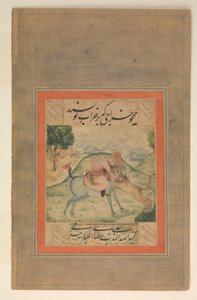 Prinz tötet einen Löwen, Folio aus dem Davis-Album, 17. Jahrhundert von Ali Reza