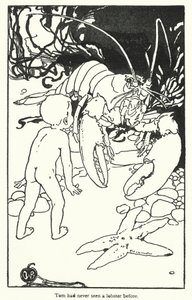 Illustration für Die Wasser-Babys von Charles Kingsley