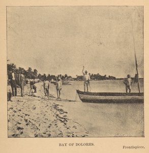 Bucht von Dolores von Alice Dixon Le Plongeon