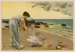 Die weißen Schwäne von Alice Havers