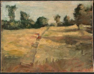 Das Feld von Alice Pike Barney