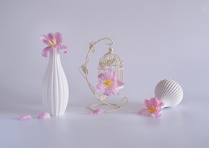  von Alice Sheng