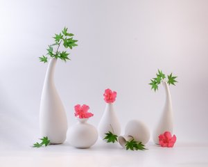  von Alice Sheng