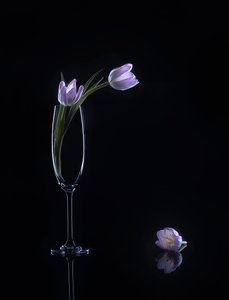  von Alice Sheng