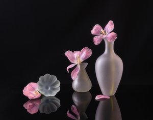  von Alice Sheng