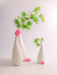  von Alice Sheng