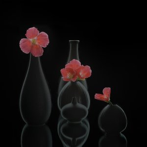  von Alice Sheng