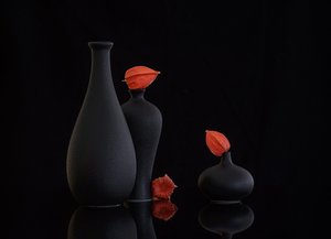  von Alice Sheng