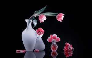  von Alice Sheng