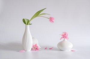  von Alice Sheng