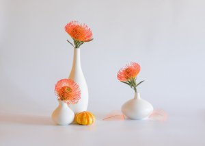  von Alice Sheng
