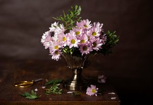 Rosa Blumen-Stillleben