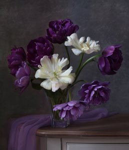 Lila-weißer Tulpenstrauß