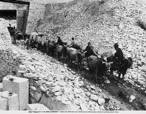 Wagen auf dem Weg zu den Steinbrüchen bei Ravaccione, nahe Carrara von Fratelli Alinari