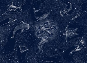 Kosmischer Ozeantraum von Alirıza ÇAKIR