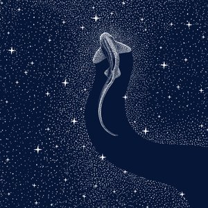 Kosmischer Hai von Alirıza ÇAKIR