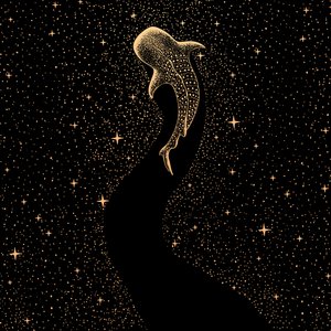 Kosmischer Walhai von Alirıza ÇAKIR