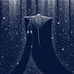 Sternen-Ozeantaucher von Alirıza ÇAKIR