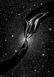 Sternenwal-Umarmung von Alirıza ÇAKIR