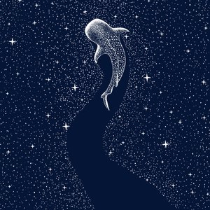 Sternen-Walhai von Alirıza ÇAKIR