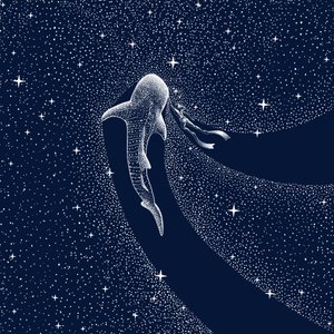 Walhai-Galaxie-Reise von Alirıza ÇAKIR