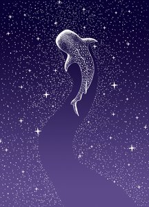 Walhai-Galaxie-Schwimmen von Alirıza ÇAKIR