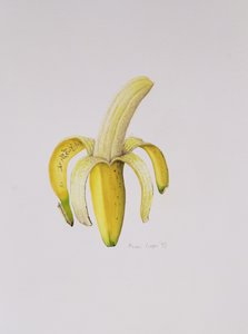 Eine halbgeschälte Banane, 1997