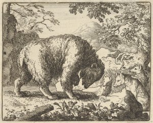Renard verspricht dem Bären, ihn zu einem Ort zu bringen, wo er Honig findet, 1650-75 von Allart van Everdingen