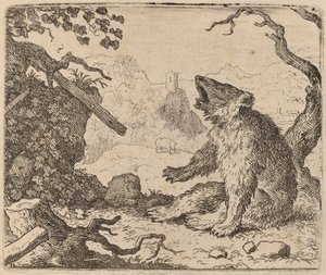 Der Bär als Bote gesandt