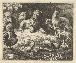 Der Hahn beschuldigt Renard des Mordes an seinem Huhn