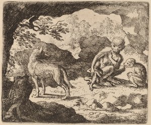 Der Wolf und die Affen von Allart van Everdingen