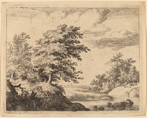 Windender Fluss von Allart van Everdingen