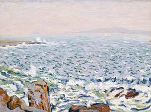 Brandung auf Cranberry Island von Allen Tucker