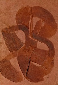 Erdige Texturkurven von Alma