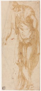 Studie von Levi