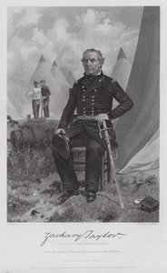 Zachary Taylor (Gravur) von Alonzo (after) Chappel