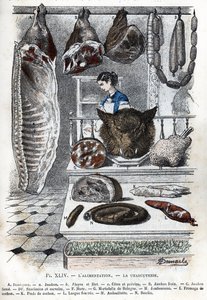 Ansicht von Aufschnitt. Ein halbes Schwein (ein Schinken, Aloyau, Rippen und Brust), frischer Schinken, geräucherter Schinken, Würste und Cerevelas, Hure, Mortadella aus Bologna, Schinken, Schweinekäse, Schweinefüße, gefüllte Zunge, Andouillette, Blutwurst